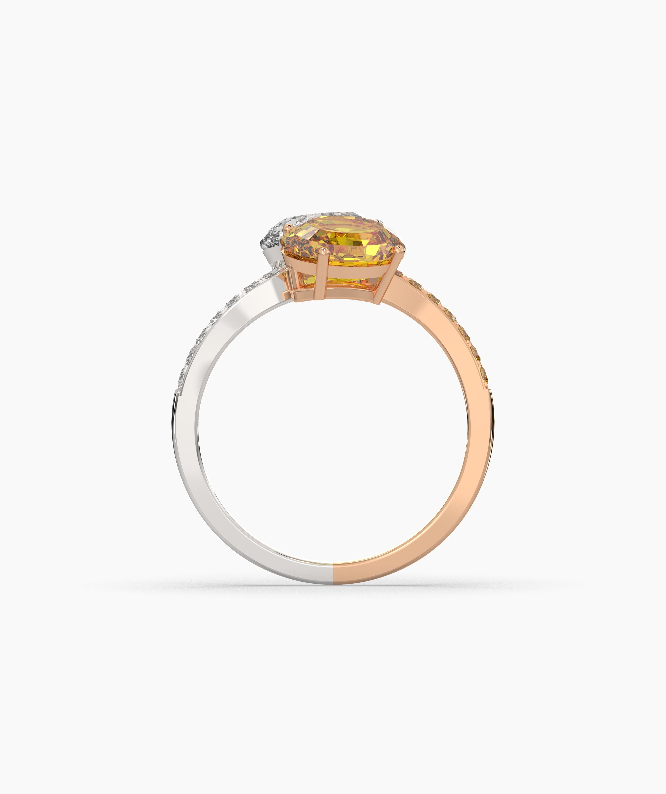 Elina Oval Halo Ring (TOI ET MOI)
