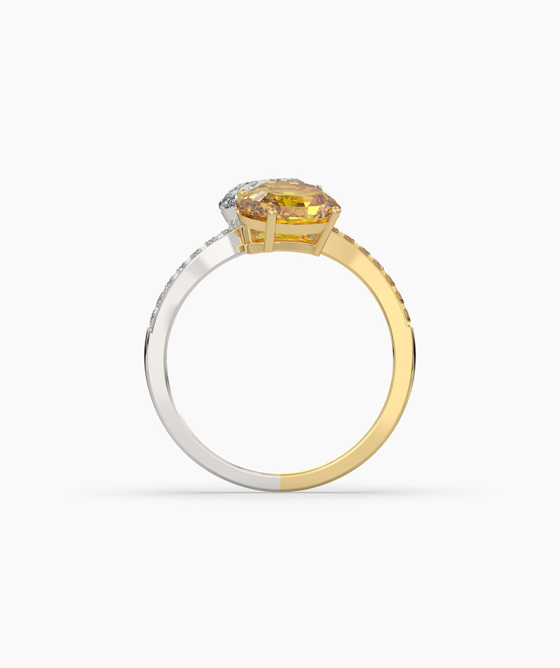 Elina Oval Halo Ring (TOI ET MOI)