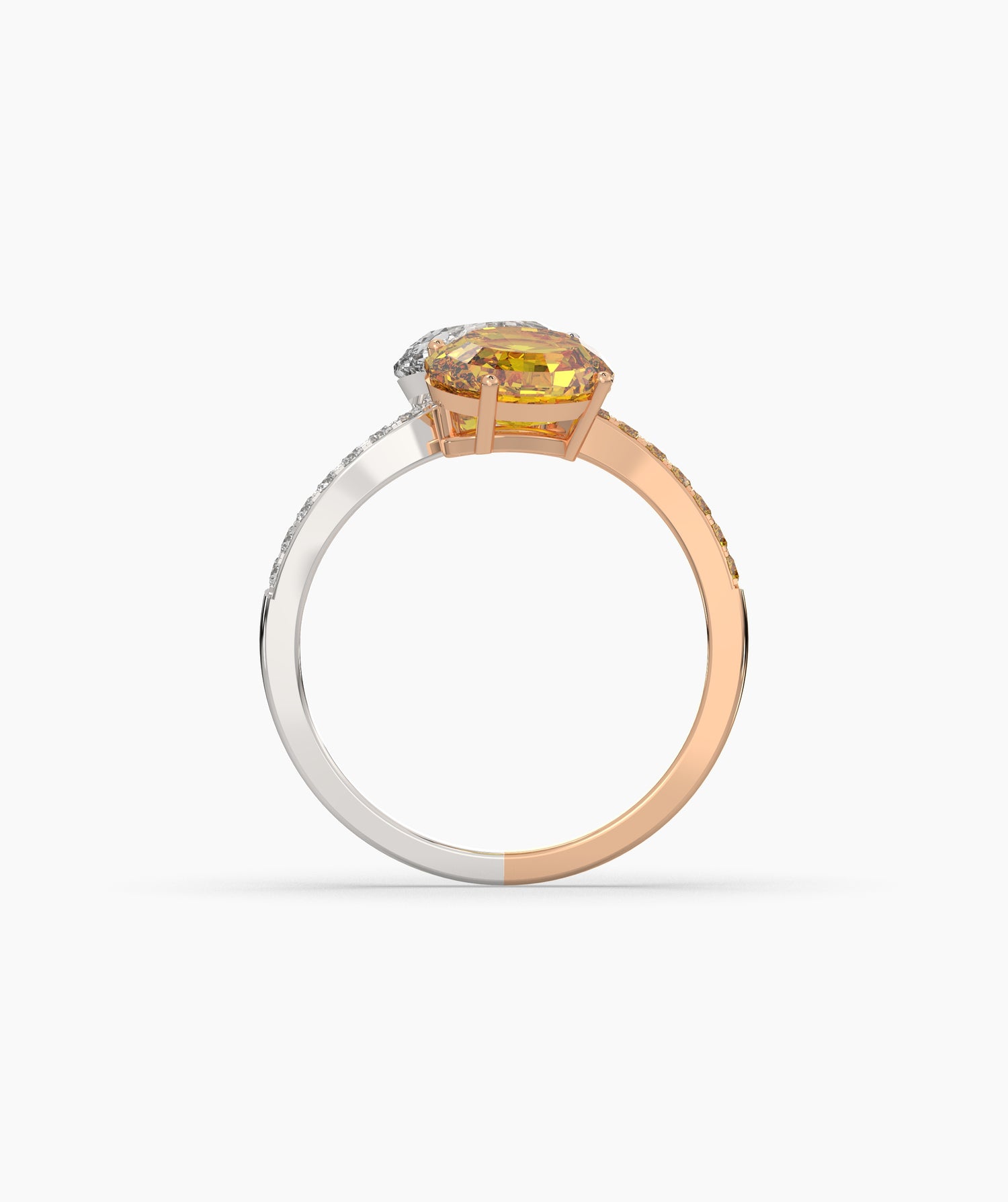 Elina Oval Halo Ring (TOI ET MOI)