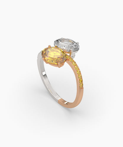 Elina Oval Halo Ring (TOI ET MOI)