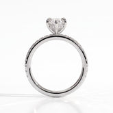 Halina Dutch Marquise Hidden Halo Ring 585 White Gold upright 