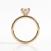 Halina Dutch Marquise Hidden Halo Ring 750 Yellow Gold upright 