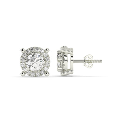 Elina Round Halo Stud Earring